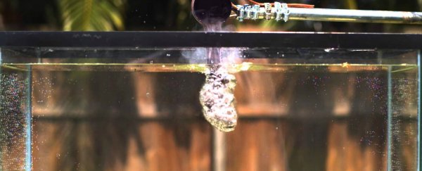 WATCH: Something crazy happens when you add molten salt to water