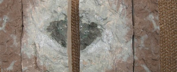 This mysterious object could be the first 'extinct' meteorite ever found