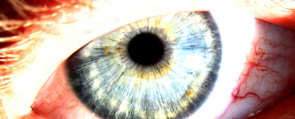 World-first experiment finds our eyes are capable of detecting individual photons