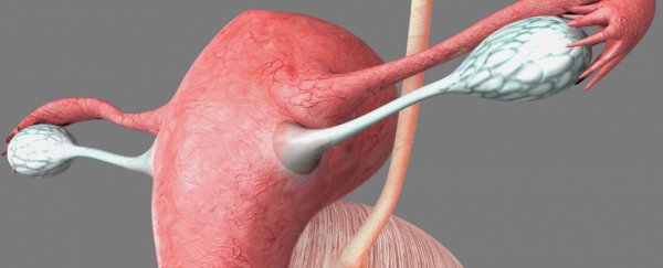 Scientists have started growing human fallopian tubes in the lab