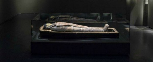 This 2,200-year-old Egyptian mummy binged on carbs and sat a lot