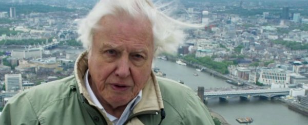 Watch David Attenborough's emotional last plea in the Planet Earth II finale