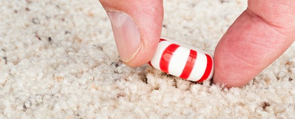 Sorry, but the 5-second rule was debunked by science yet again