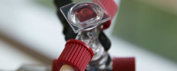 New solar battery outperforms conventional lithium-iodine batteries