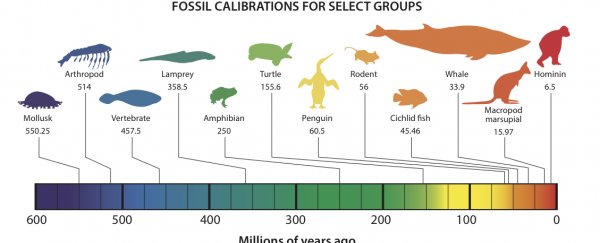 Scientists have created an open-access fossil database