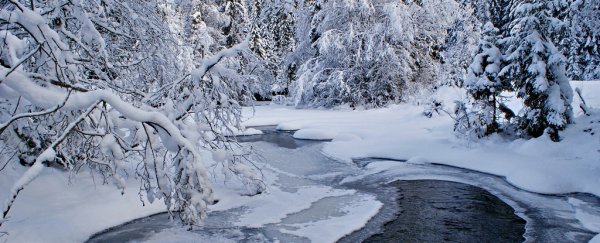 This is how a Norwegian woman survived the lowest body temperature ever recorded