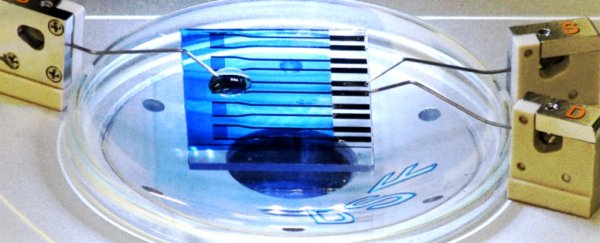 This new biosensor could detect Parkinson’s, Alzheimer’s and different types of cancer
