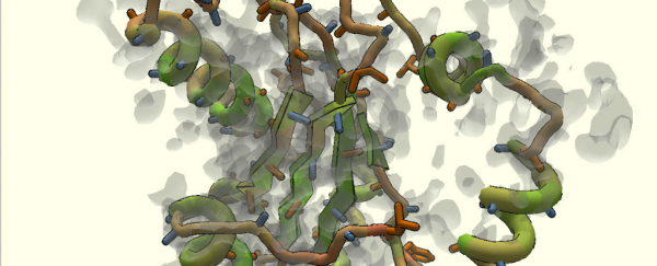 Gamers just outdid scientists in a race to figure out a protein's shape