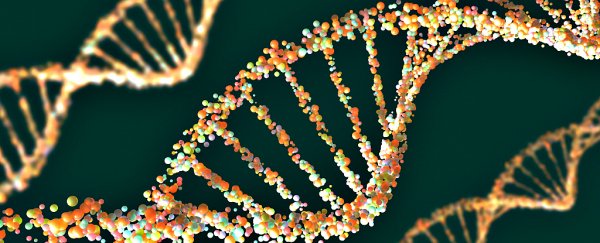 After a secret meeting, scientists announce they are making synthetic human genomes