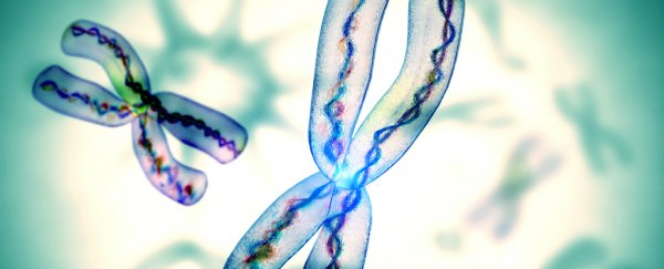 Mindfulness meditation linked to the reduction of a key inflammation marker