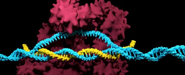 The FDA has just put the brakes on a major CRISPR trial in humans