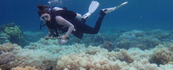 Heartbroken Scientist Admits the Great Barrier Reef is Now 'Terminal'