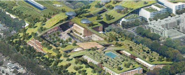 The world's largest green roof is being built on top of an old Silicon Valley mall