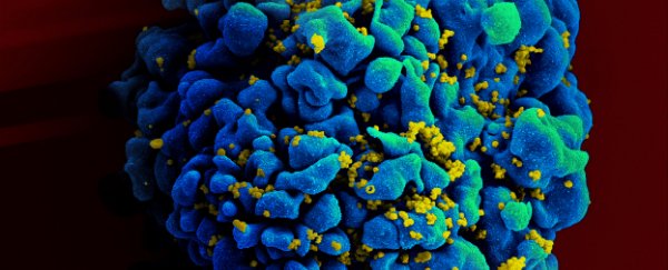 A random genetic mutation has made HIV harmless in two patients