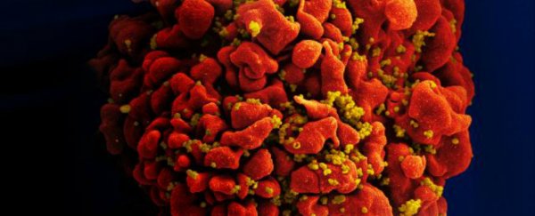 HIV took just 2 weeks to overcome our best attempt to edit it out of our cells