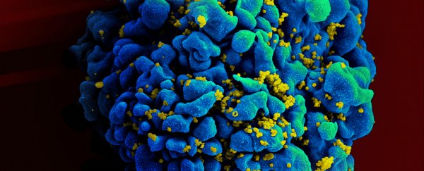 New antibody 'significantly' suppresses HIV in first human trial