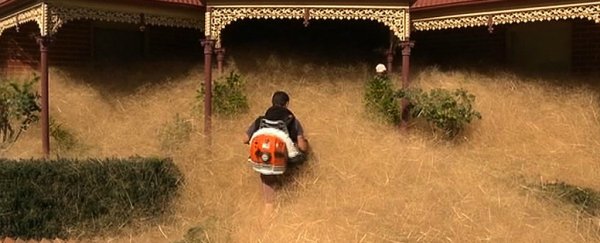 This small city is being swallowed up by a weird, hairy tumbleweed
