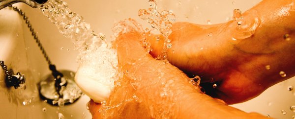 Antibacterial ingredient can really quickly mess with gut bacteria, study finds