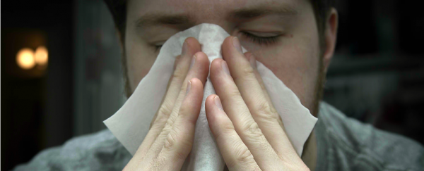 Scientists just got a step closer to creating a universal allergy treatment