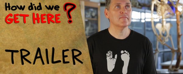WATCH: New YouTube series explains human nature through evolution