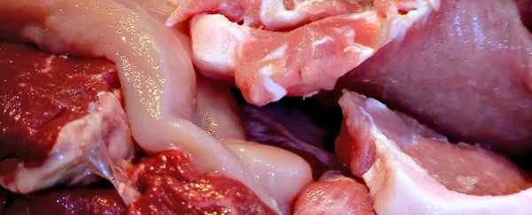 WATCH: Guy gets a biopsy of his thigh to figure out what human flesh tastes like