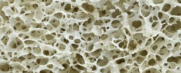 Researchers have woven a ‘smart’ fabric that mimics one of our bodies’ hardiest tissues
