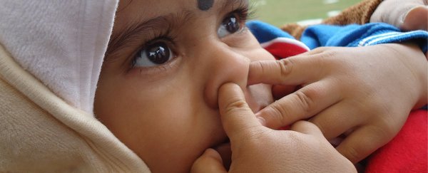 Researchers say you can blame climate for the shape of your nose