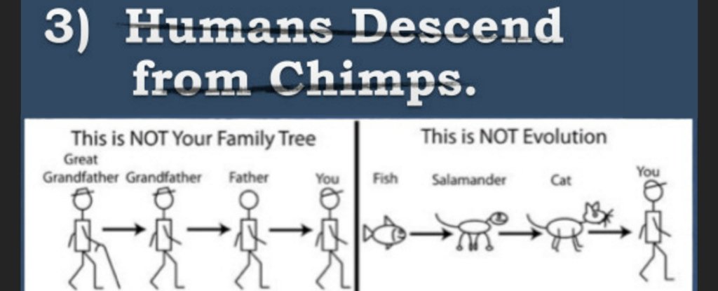 evolution misconceptions Popular opinion routinely espouses ten arguments for evolution that are simply nothing more than myths. evolution misconceptions Popular opinion routinely espouses ten arguments for evolution that are simply nothing more than myths.