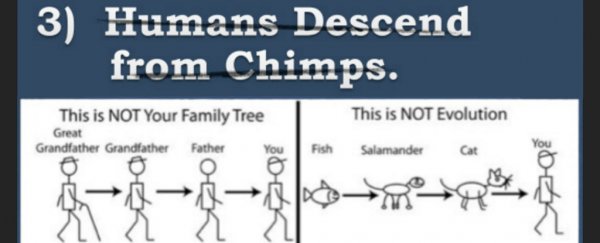 This infographic breaks down the top five misconceptions about evolution