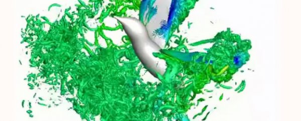WATCH: Mesmerising slow-motion simulations of hummingbird’s unique flight
