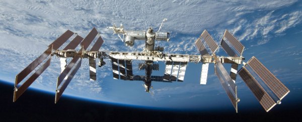 This common bacterium grows 60% better in space than on Earth