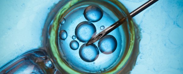 Multicellular life was caused by the same gene that suppresses cancer, study suggests