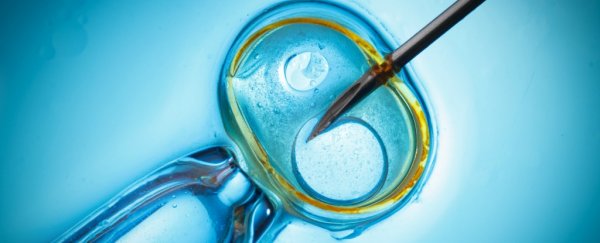 Scientists say it's time we discussed creating humans from stem cells