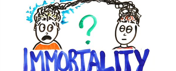 WATCH: Can you transfer your consciousness to another body?
