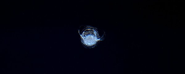 An astronaut on the space station just looked out the window and saw this