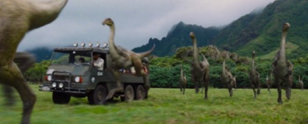 Take a T-Rex and a chicken and you’ll see how dinosaurs shrank, survived and evolved into birds