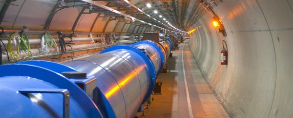 A weasel just shut down the Large Hadron Collider, according to reports