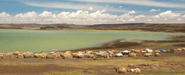 Oldest human tools discovered in Africa, dated to 3.3 million years ago