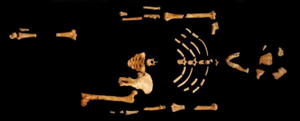 A skeleton on black background