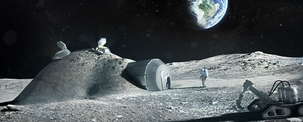 We just got a glimpse at what life on the Moon could look like