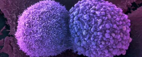 Scientists have used CRISPR to slow the spread of cancer cells