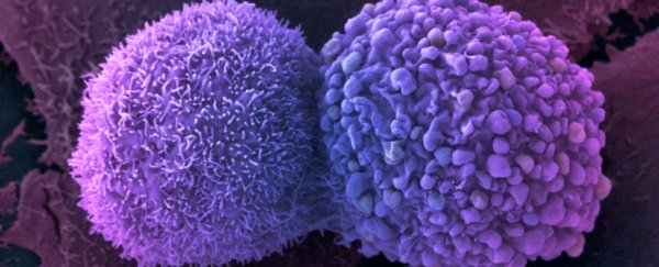 CRISPR gene-editing has been tested in a human for the first time