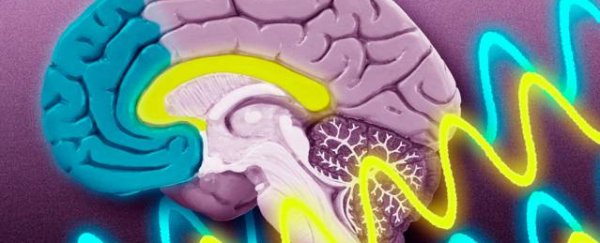 Your brain uses a clever pattern of wavelengths to store memories