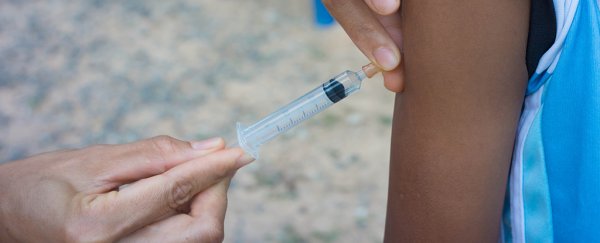 Scientists just found one of the most promising malaria vaccine targets to date