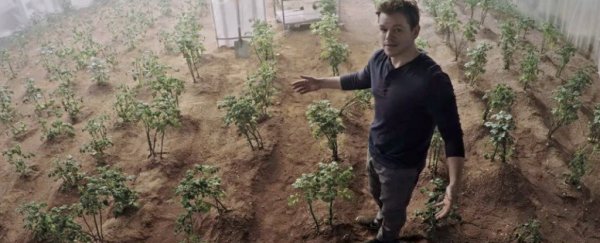 Scientists have found a gene that could be the key to growing food in space