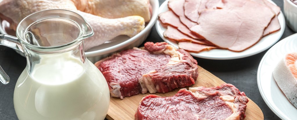 Largest Study of Its Kind Finds There IS a Difference Between Organic And Non-Organic Animal Products : ScienceAlert Largest Study of Its Kind Finds There IS a Difference Between Organic And Non-Organic Animal Products : ScienceAlert
