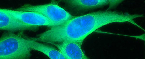 The very first human trial of a new approach to cancer treatment has scientists excited