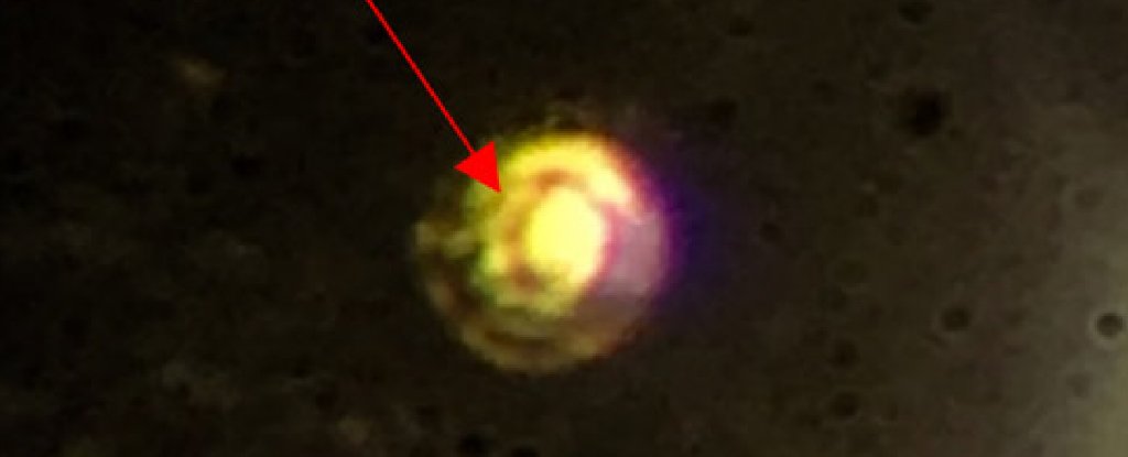 hydrogen metal or nonmetal