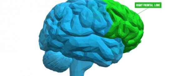 QUIZ: Which famous brain is your mind most similar to?
