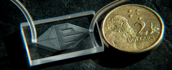 These tiny plastic chips can deliver therapeutic genes into cells